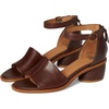 Cocoa Brown